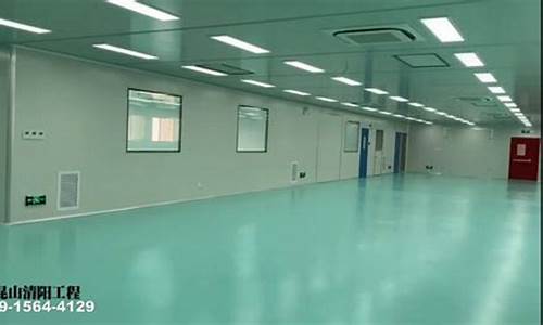 苏州百级净化车间装修公司怎么样(什么是百级净化)