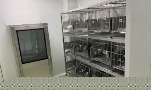 苏州动物房无尘车间装修价格多少(苏州动物房无尘车间装修价格多少一平)