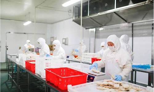 苏州洁净食品净化厂房装修(苏州洁净食品净化厂房装修图)